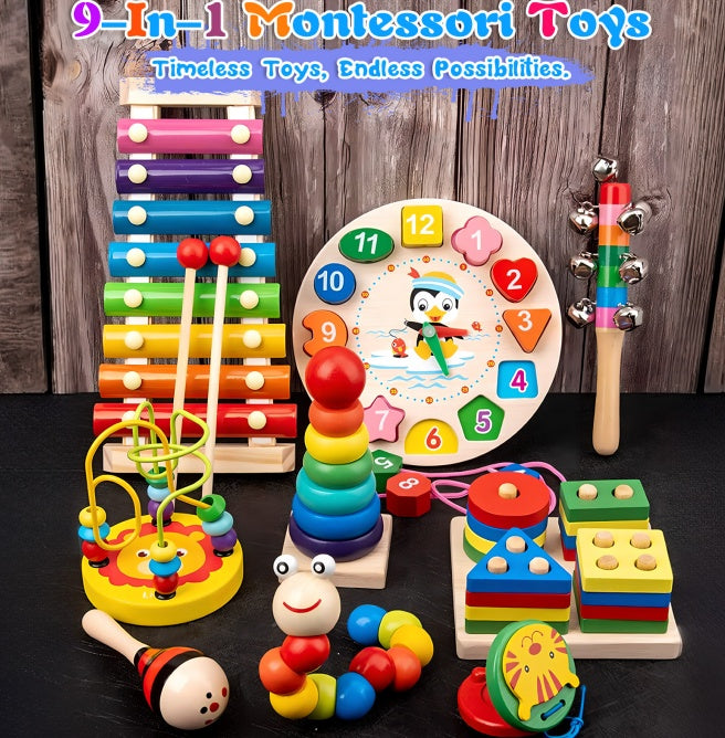 Montessori Mastery Wooden Learning Toy